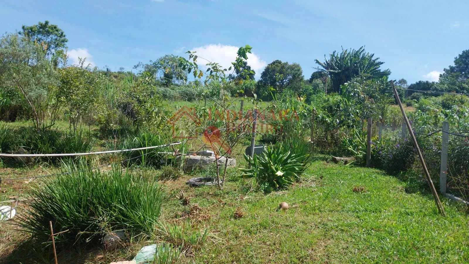 CHACARA EM CARAMBEÍ!!!